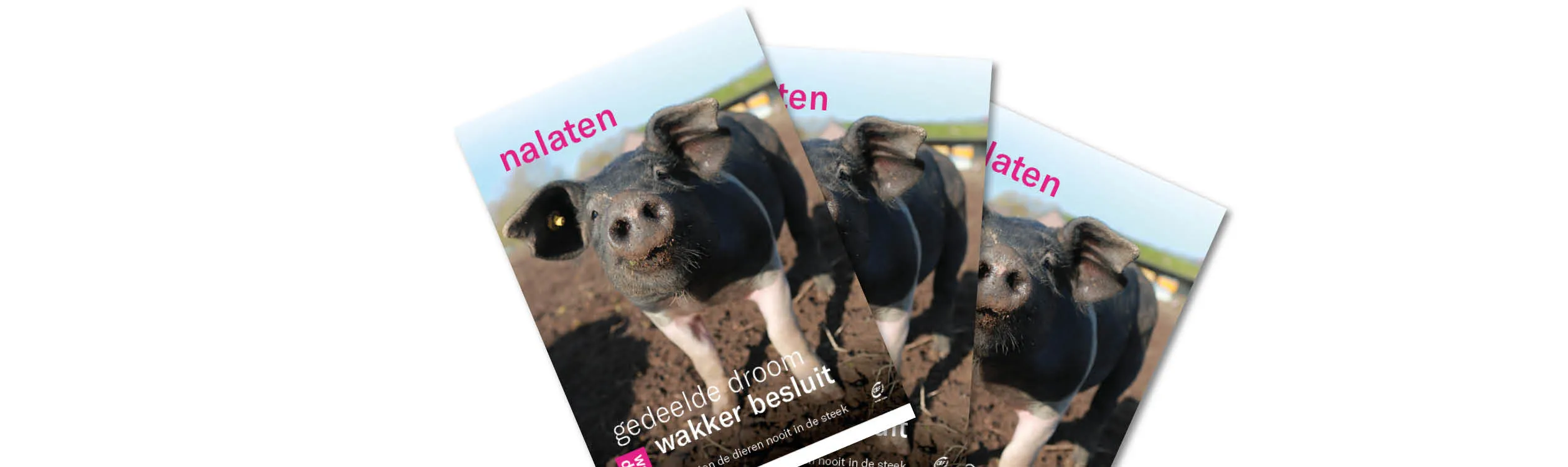 Beeld: brochure nalaten