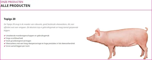 kiloknaller doorfok rapport topigs