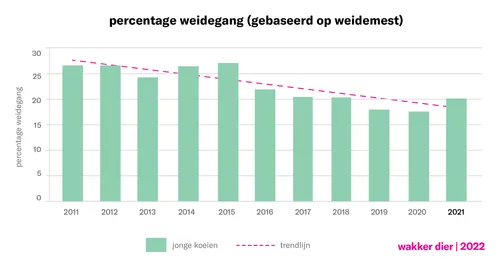 Beeld: grafiek met percentage weidegang bij jonge koeien