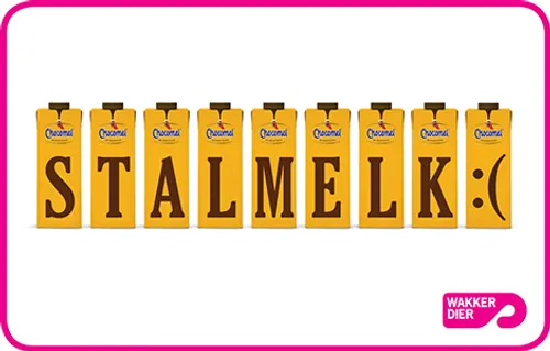 chocomel letters stalmelk