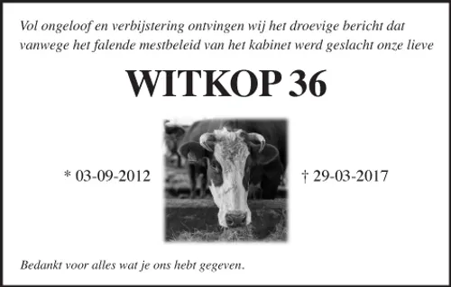 rouwadvertentie mestbeleid