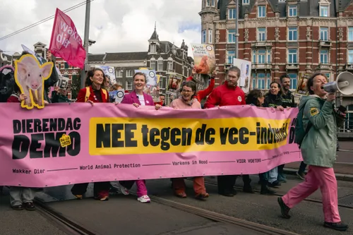 Foto tijdens Dierendag Demo
