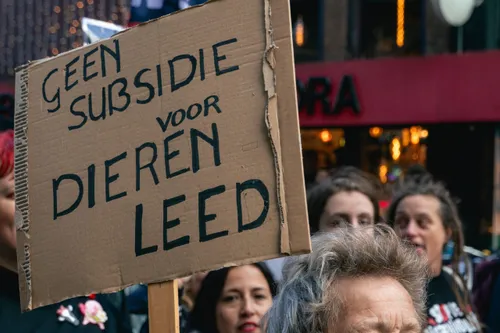 Foto tijdens Dierendag Demo