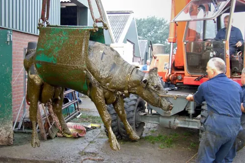 Koe gered uit mestkelder